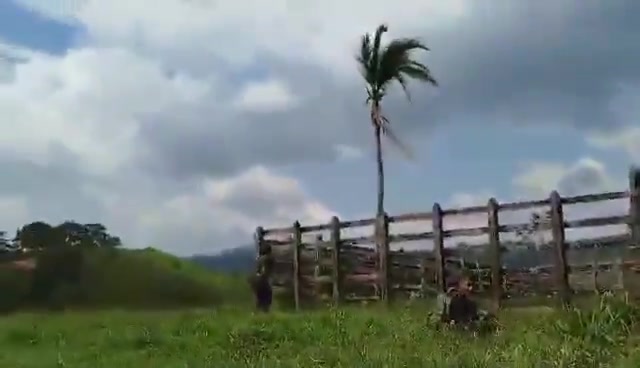 Significant fighting broke out today between the ELN and FARCs 33rd Front in the Catatumbo region of Colombia near the Venezuelan border. ELN appears to have launched an attack on both FARC and civilians in the region