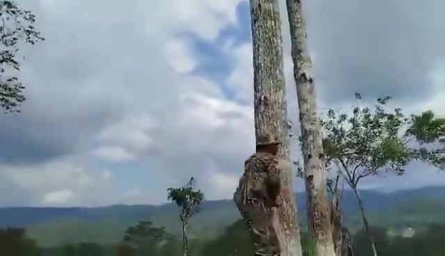 Significant fighting broke out today between the ELN and FARCs 33rd Front in the Catatumbo region of Colombia near the Venezuelan border. ELN appears to have launched an attack on both FARC and civilians in the region