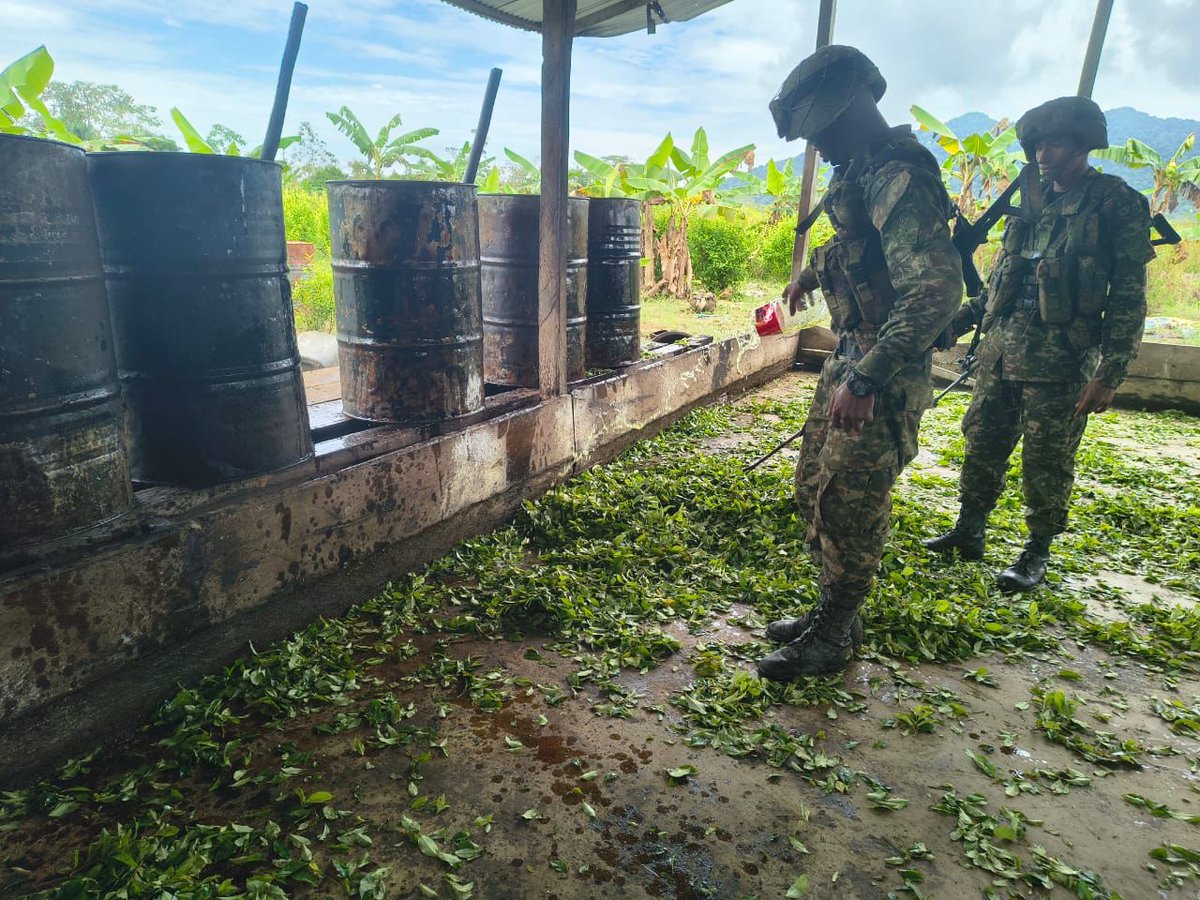 Tropas de la Brigada15, de @Ejercito_Div7, ubicaron y destruyeron dos laboratorios empleados para el procesamiento de pasta base de coca perteneciente al grupo armado organizado Clan del Golfo en el municipio de Belén de Bajirá, Chocó. En el lugar fueron incautados 80 kilos de hoja de coca procesada e insumos de fabricación . Con esto se afectan las economías ilícitas de este grupo en más de 37 millones de pesos