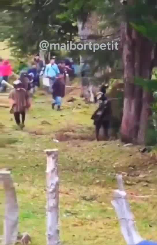 Six dead and more than 100 injured after a brutal clash between the Misak and Nasa communities in Cauca. It began with stones and machetes, ended with firearms, burned houses, and the murder of a Misak leader. All because of an ancestral land dispute. The government thought it could resolve centuries of conflict with a decree handing the land over to the Nasa. The Misak rejected it, and the violence erupted.