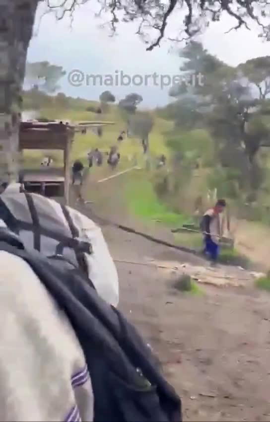Six dead and more than 100 injured after a brutal clash between the Misak and Nasa communities in Cauca. It began with stones and machetes, ended with firearms, burned houses, and the murder of a Misak leader. All because of an ancestral land dispute. The government thought it could resolve centuries of conflict with a decree handing the land over to the Nasa. The Misak rejected it, and the violence erupted.